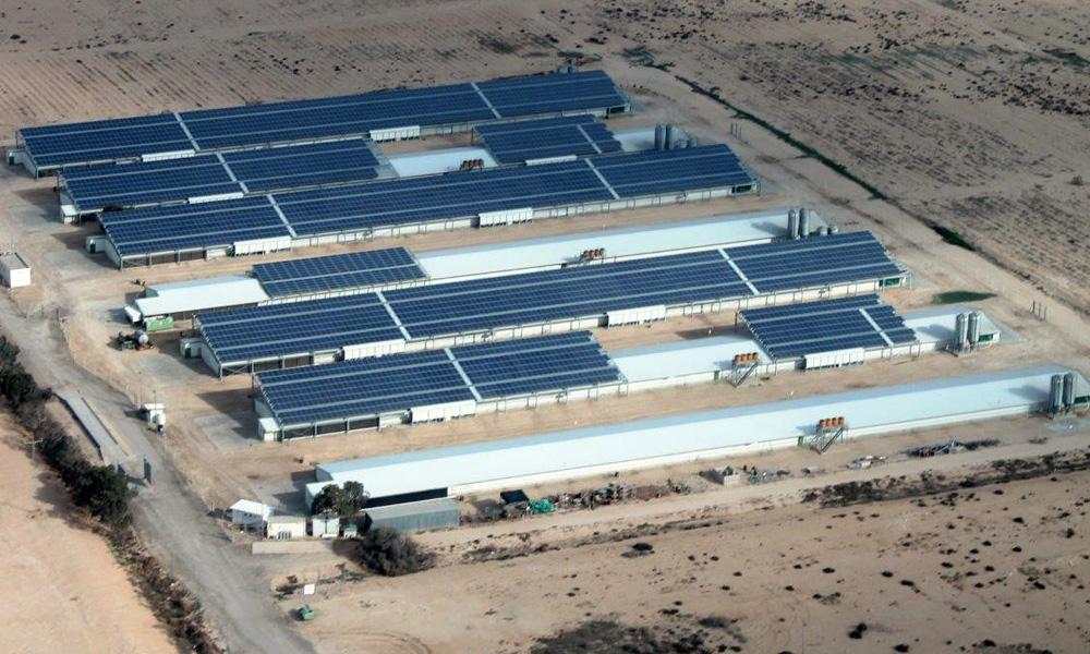 Ashalim - Israel - Solar PV - Helios Energy Investment